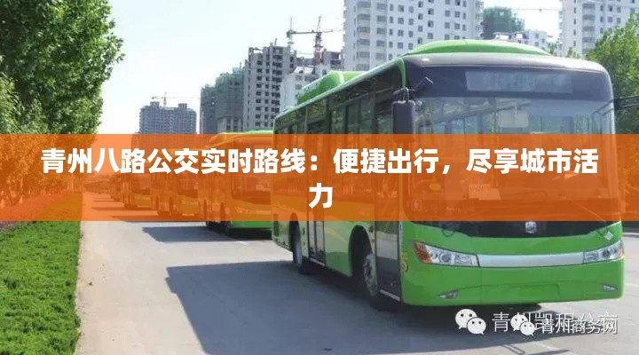 青州八路公交实时路线：便捷出行，尽享城市活力