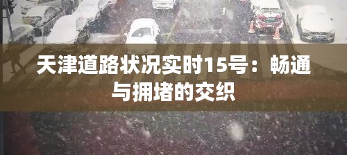 天津道路状况实时15号：畅通与拥堵的交织