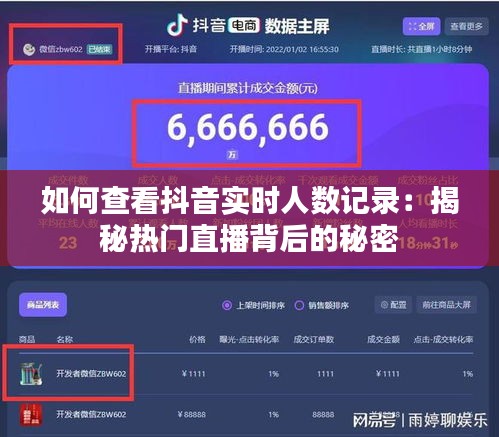 如何查看抖音实时人数记录：揭秘热门直播背后的秘密
