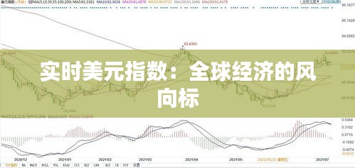 实时美元指数：全球经济的风向标