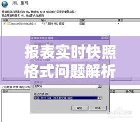 报表实时快照格式问题解析与解决方案