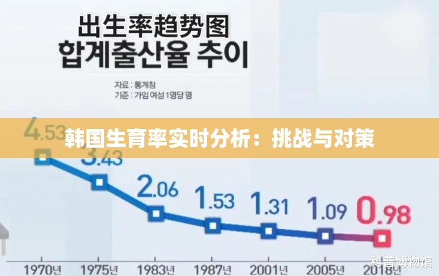 韩国生育率实时分析：挑战与对策