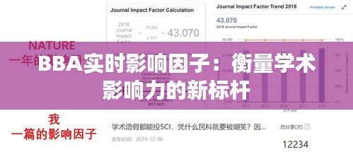 2024年12月 第9页