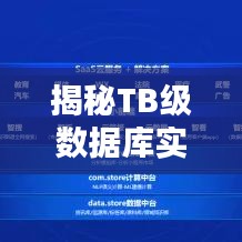 揭秘TB级数据库实时查询：技术挑战与解决方案