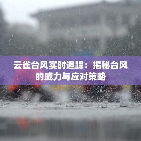 云雀台风实时追踪：揭秘台风的威力与应对策略