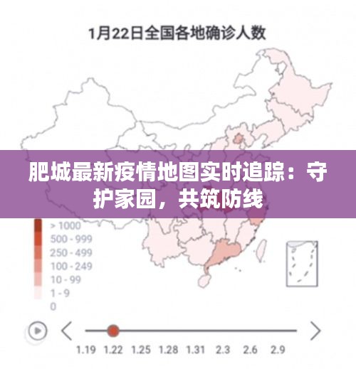 肥城最新疫情地图实时追踪：守护家园，共筑防线