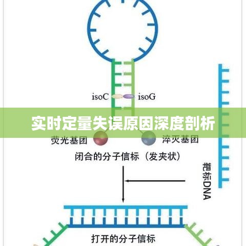 实时定量失误原因深度剖析