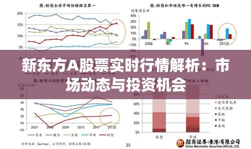 新东方A股票实时行情解析：市场动态与投资机会