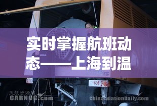 实时掌握航班动态——上海到温州飞机航班查询全攻略