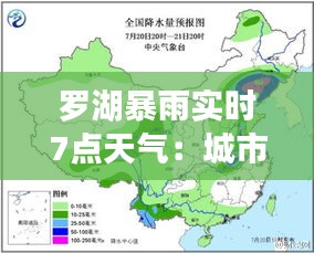 罗湖暴雨实时7点天气：城市雨帘下的生活节奏