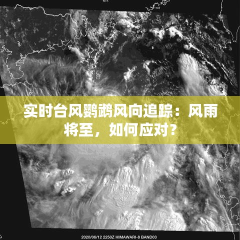 实时台风鹦鹉风向追踪：风雨将至，如何应对？