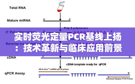 实时荧光定量PCR基线上扬：技术革新与临床应用前景