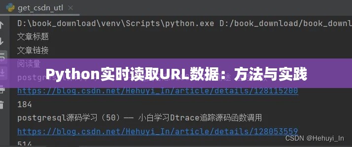 Python实时读取URL数据：方法与实践