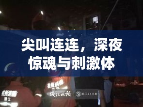 尖叫连连，深夜惊魂与刺激体验