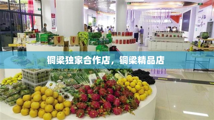 铜梁独家合作店，铜梁精品店 