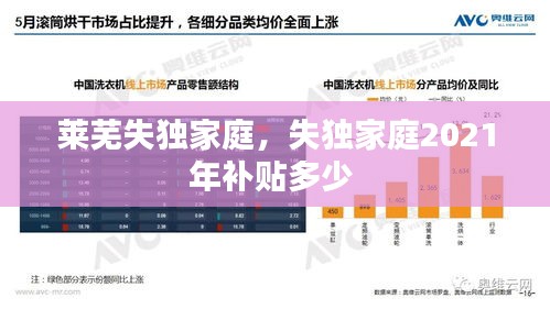 莱芜失独家庭，失独家庭2021年补贴多少 