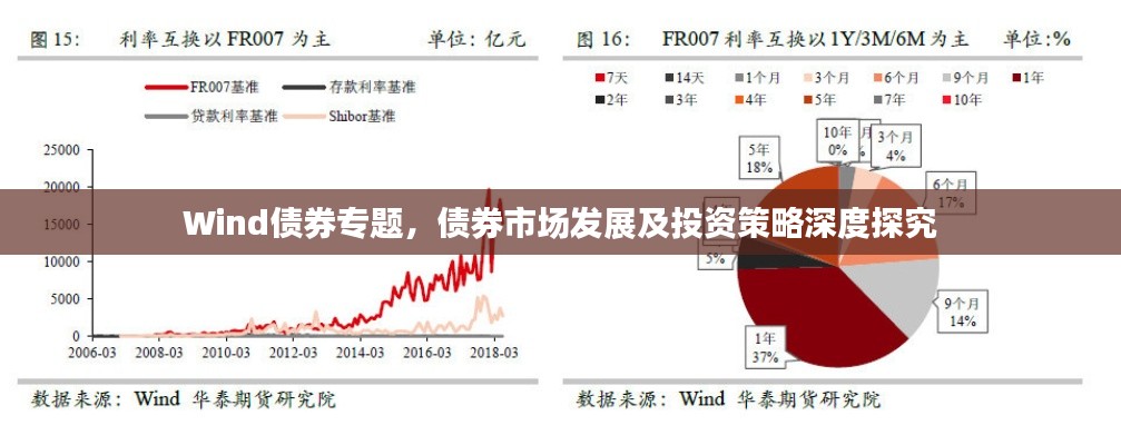 Wind债券专题，债券市场发展及投资策略深度探究