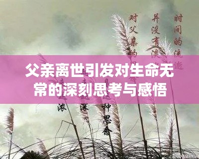 父亲离世引发对生命无常的深刻思考与感悟