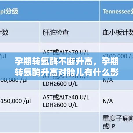 孕期转氨酶不断升高，孕期转氨酶升高对胎儿有什么影响 