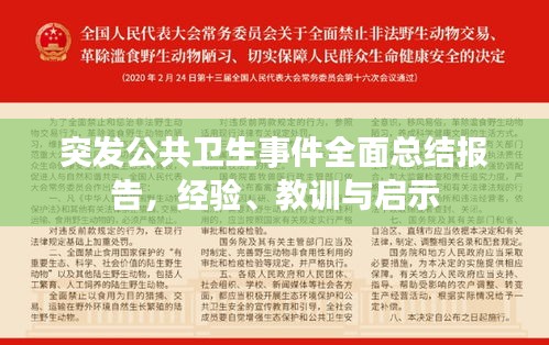 突发公共卫生事件全面总结报告，经验、教训与启示