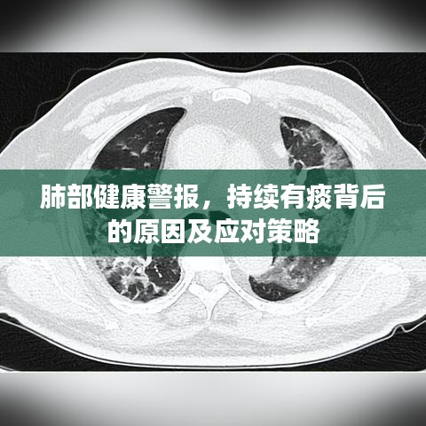 肺部健康警报，持续有痰背后的原因及应对策略