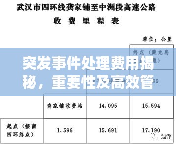 突发事件处理费用揭秘，重要性及高效管理策略！