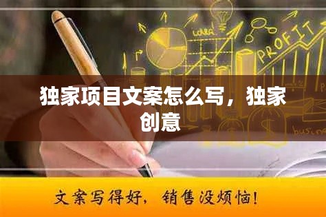 独家项目文案怎么写，独家创意 