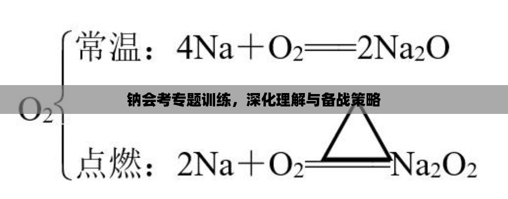 钠会考专题训练，深化理解与备战策略