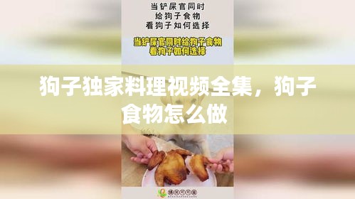 狗子独家料理视频全集，狗子食物怎么做 