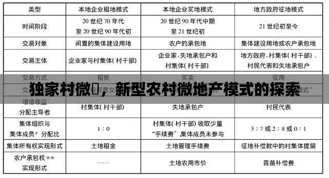 独家村微盤，新型农村微地产模式的探索