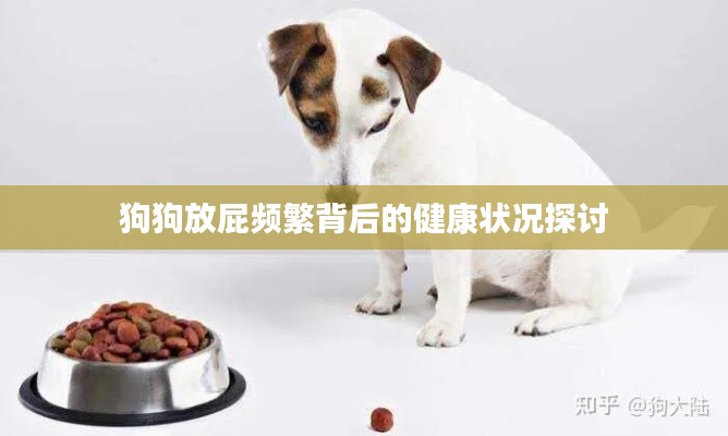 狗狗放屁频繁背后的健康状况探讨