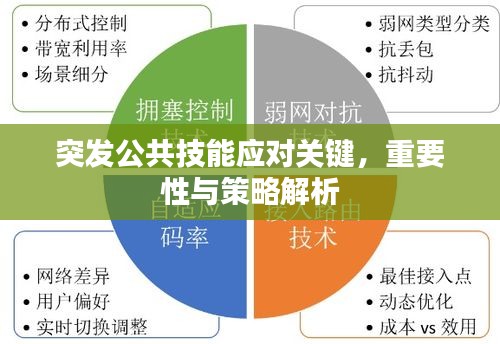 突发公共技能应对关键，重要性与策略解析