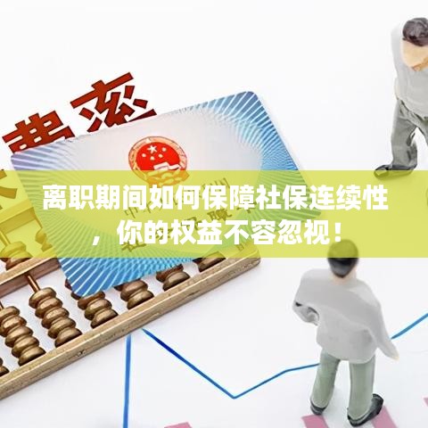 离职期间如何保障社保连续性，你的权益不容忽视！