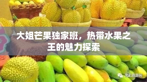 大姐芒果独家班，热带水果之王的魅力探索