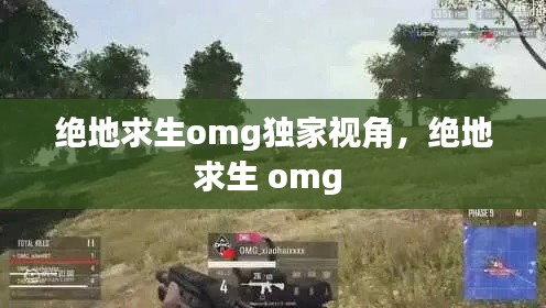 绝地求生omg独家视角，绝地求生 omg 