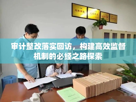 审计整改落实回访，构建高效监督机制的必经之路探索