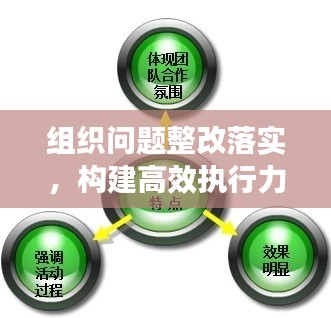 组织问题整改落实，构建高效执行力的核心路径