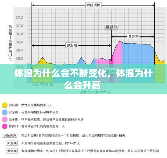 体温为什么会不断变化，体温为什么会升高 