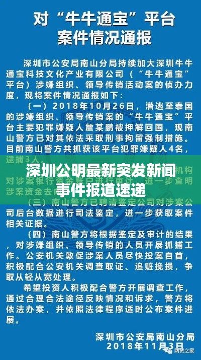 深圳公明最新突发新闻事件报道速递