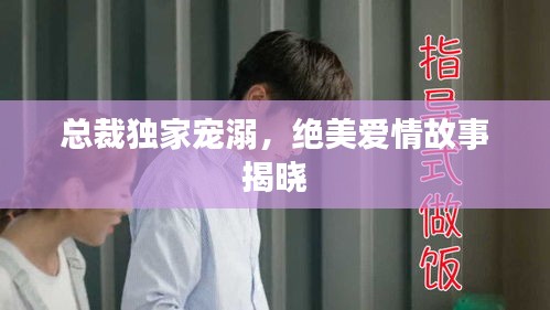 总裁独家宠溺，绝美爱情故事揭晓