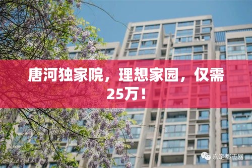 唐河独家院，理想家园，仅需25万！