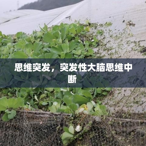 思维突发，突发性大脑思维中断 