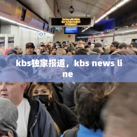 kbs独家报道，kbs news line 