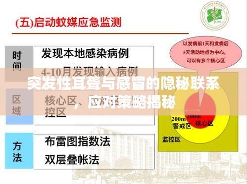 突发性耳聋与感冒的隐秘联系，应对策略揭秘