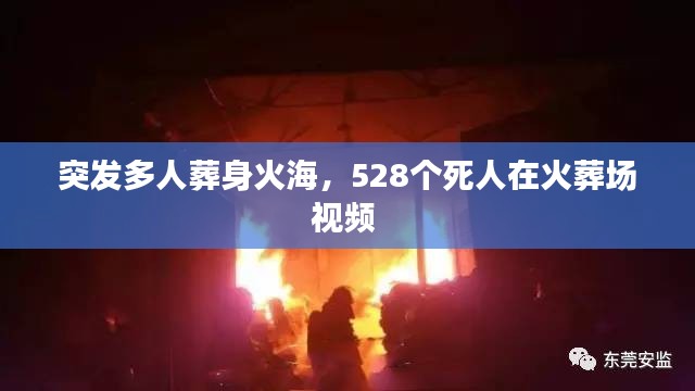 突发多人葬身火海，528个死人在火葬场视频 