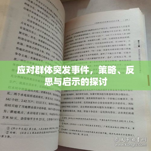 应对群体突发事件，策略、反思与启示的探讨