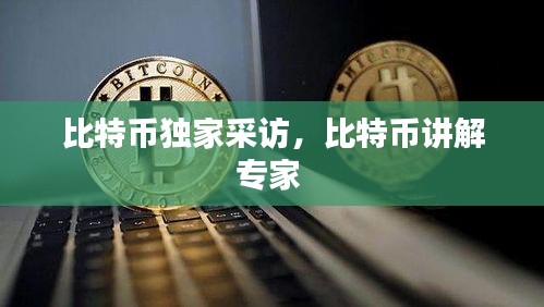 比特币独家采访，比特币讲解专家 