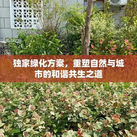 独家绿化方案，重塑自然与城市的和谐共生之道