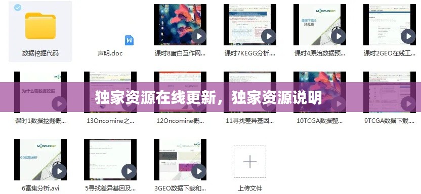 独家资源在线更新，独家资源说明 