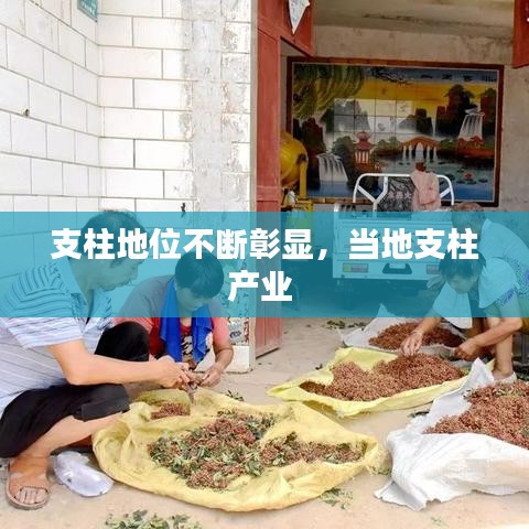 支柱地位不断彰显，当地支柱产业 